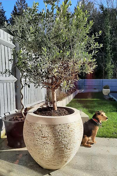 Raw Edge Onyx Planter