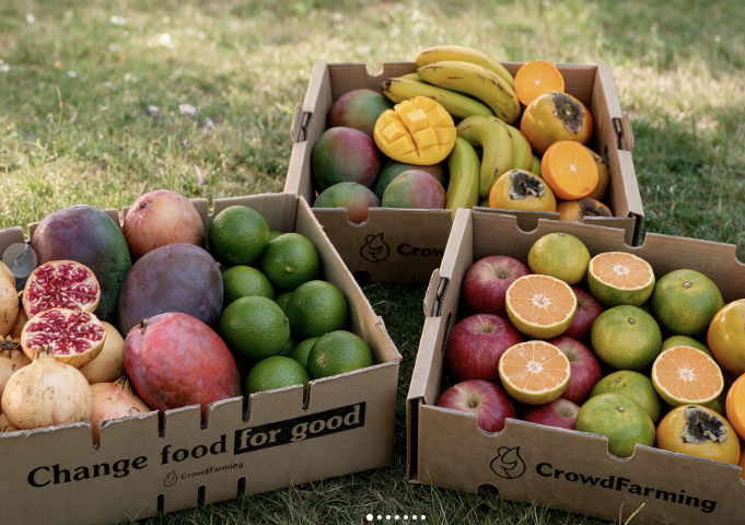 Mixed Seasonal Fruit &amp; Veg monthly subscription